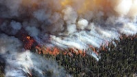 EPA to Hold Webinar About Wildfire Impacts on Drinking Water