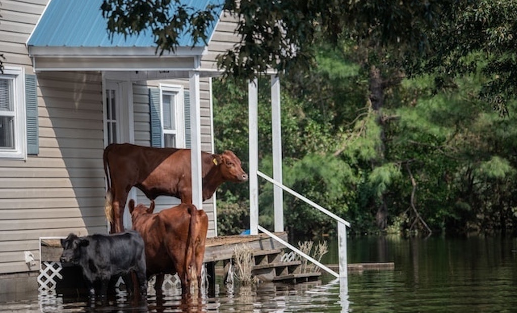 Gainesville Regional Utilities Preps Wastewater Response to Storms