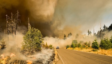 How Wildfires Affect Water