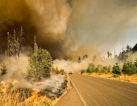 How Wildfires Affect Water